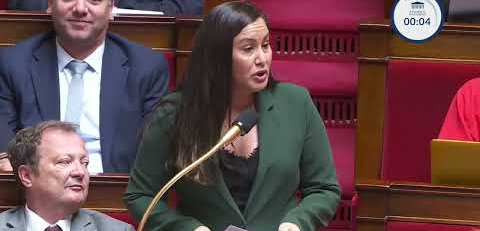 Emeline K/Bidi dit son indignation après le choix cynique d'Emmanuel Macron de décorer Bernard Hayot