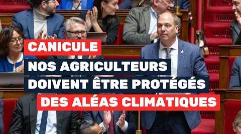 Canicule : nos agriculteurs doivent être protégés par un régime public d'indemnisation des aléas