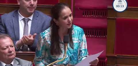 Epidémie de chikungunya à la Réunion: "Les Réunionnaises et les Réunionnais ont été abandonnés."